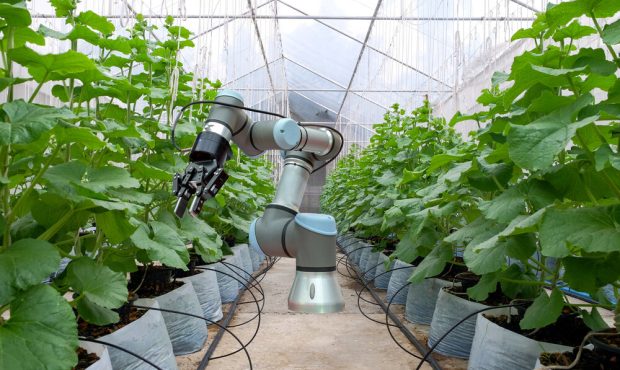 آیا ماشین‌های هوشمند می‌توانند تولید مواد غذایی را به دست بگیرند؟