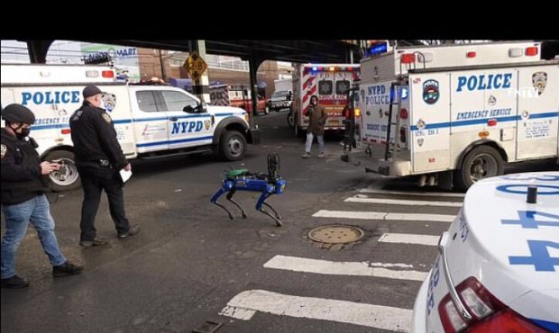 سگ رباتیک به گزارش پلیس رسیدگی می کند