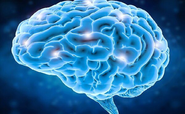 هوش مصنوعی تاثیرات روانگردان بر مغز را بررسی کرد