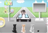 ژاپنی ها برای گربه ها ویدئوهای آموزشی عبور از خیابان ساختند