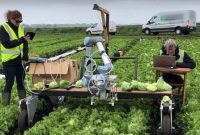 کمک به کشاورزان با کمک هوش مصنوعی