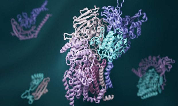 شناسایی خانواده جدیدی از ژن‌ها در باکتری روده با کمک هوش مصنوعی
