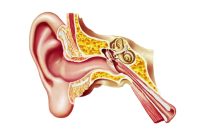 ایربادهایی که بیماری‌های گوش را تشخیص می‌دهند