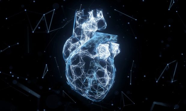 آیا هوش مصنوعی در ارزیابی سلامت قلب بهتر از متخصص سونوگرافی عمل می‌کند؟