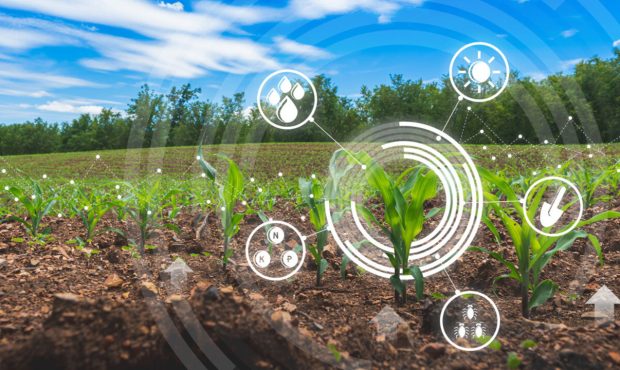 تخمین سطح زیرکشت محصولات کشاورزی استراتژیک توسط هوش مصنوعی
