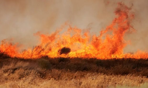 پیش‌بینی آتش‌سوزی جنگلی قبل از گسترش