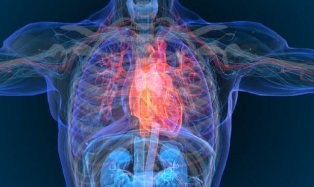 پیش‌بینی حملات قلبی با دقت بیش از ۹۹ درصد با هوش مصنوعی